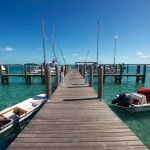 Blue water Marina